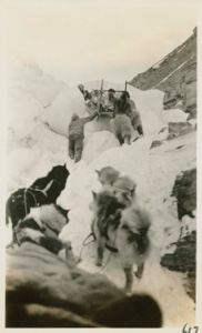 Image of Sledging at face of Reid Glacier